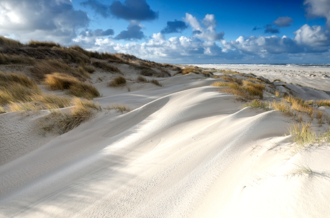 sand dunes in sunshine on coast, Netherlands